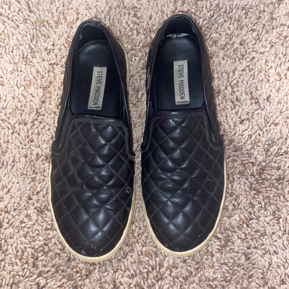 STEVE MADDEN eccentrcq sneaker